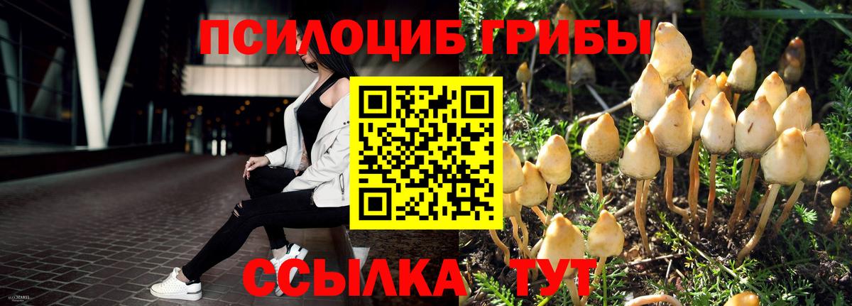 Бийск  Галлюциногенные грибы Magic Shrooms  Вход с VPN 
